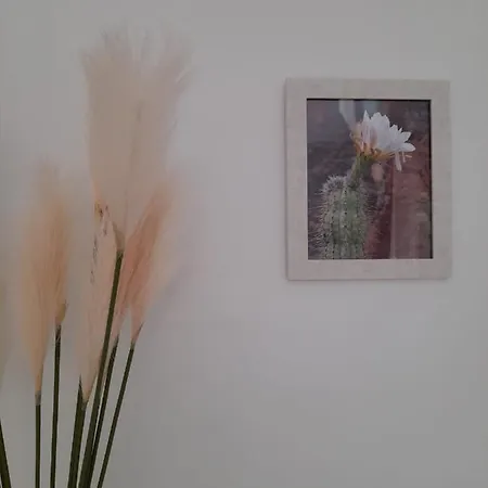 La Palmera - 2 Bedroom - Playa Roca Sea Front Access - Pool View - Free Ac - Wifi Costa Teguise